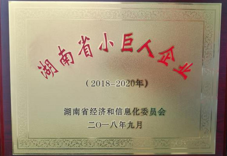 4008云顶集团(国际)股份有限公司